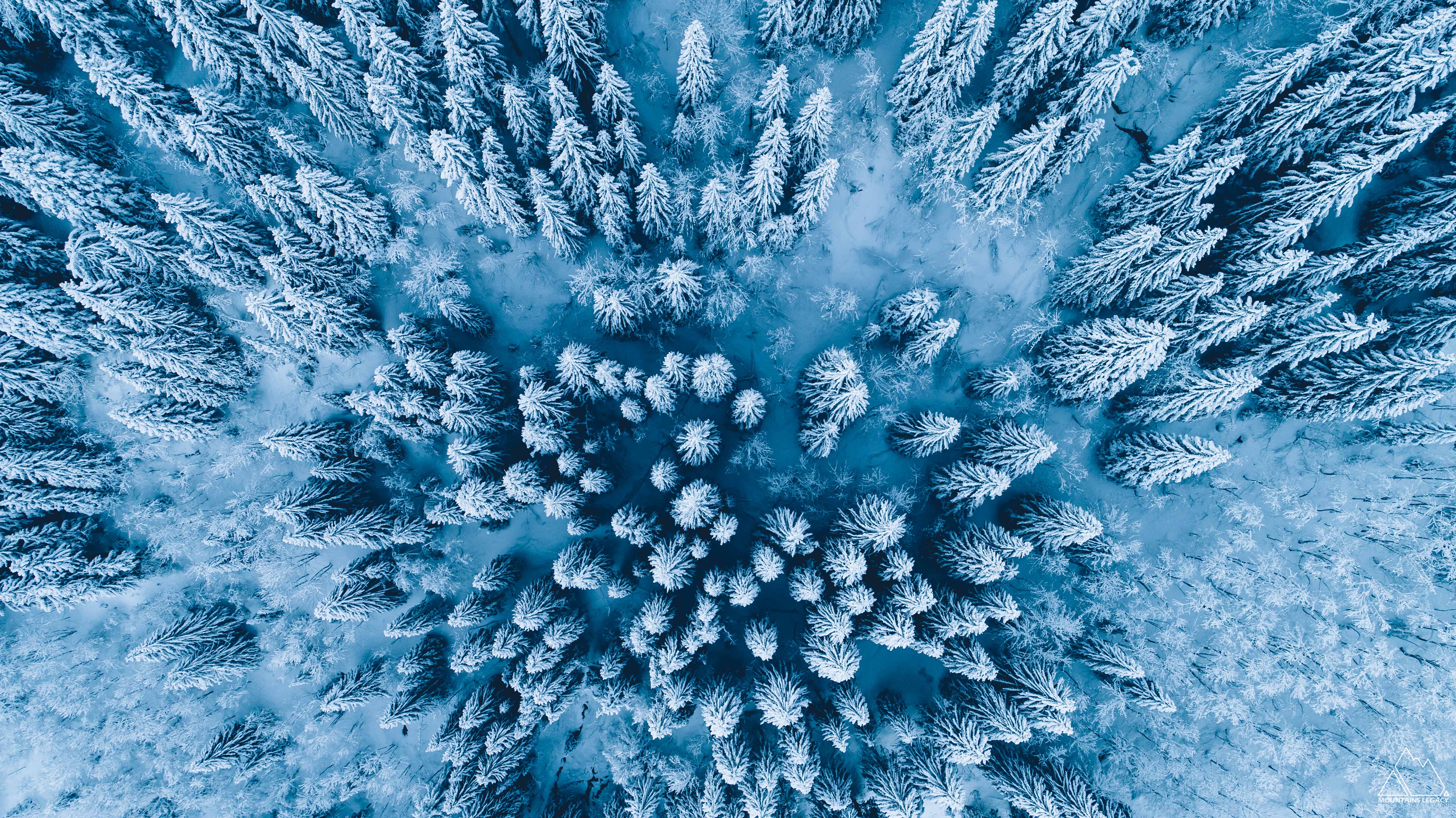 13122017-13122017-DJI_0049