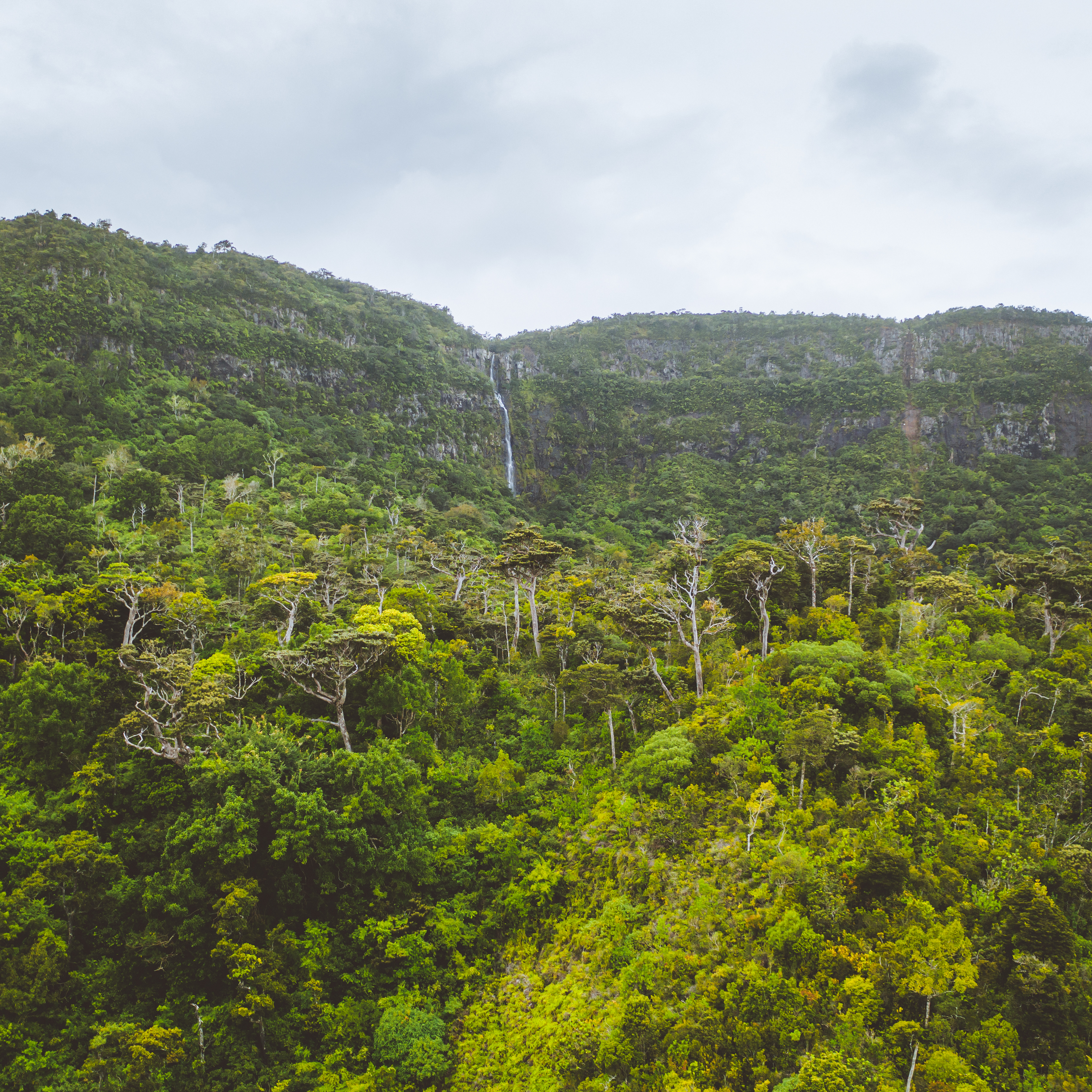 Mountains_legacy_JM_IleMaurice-30