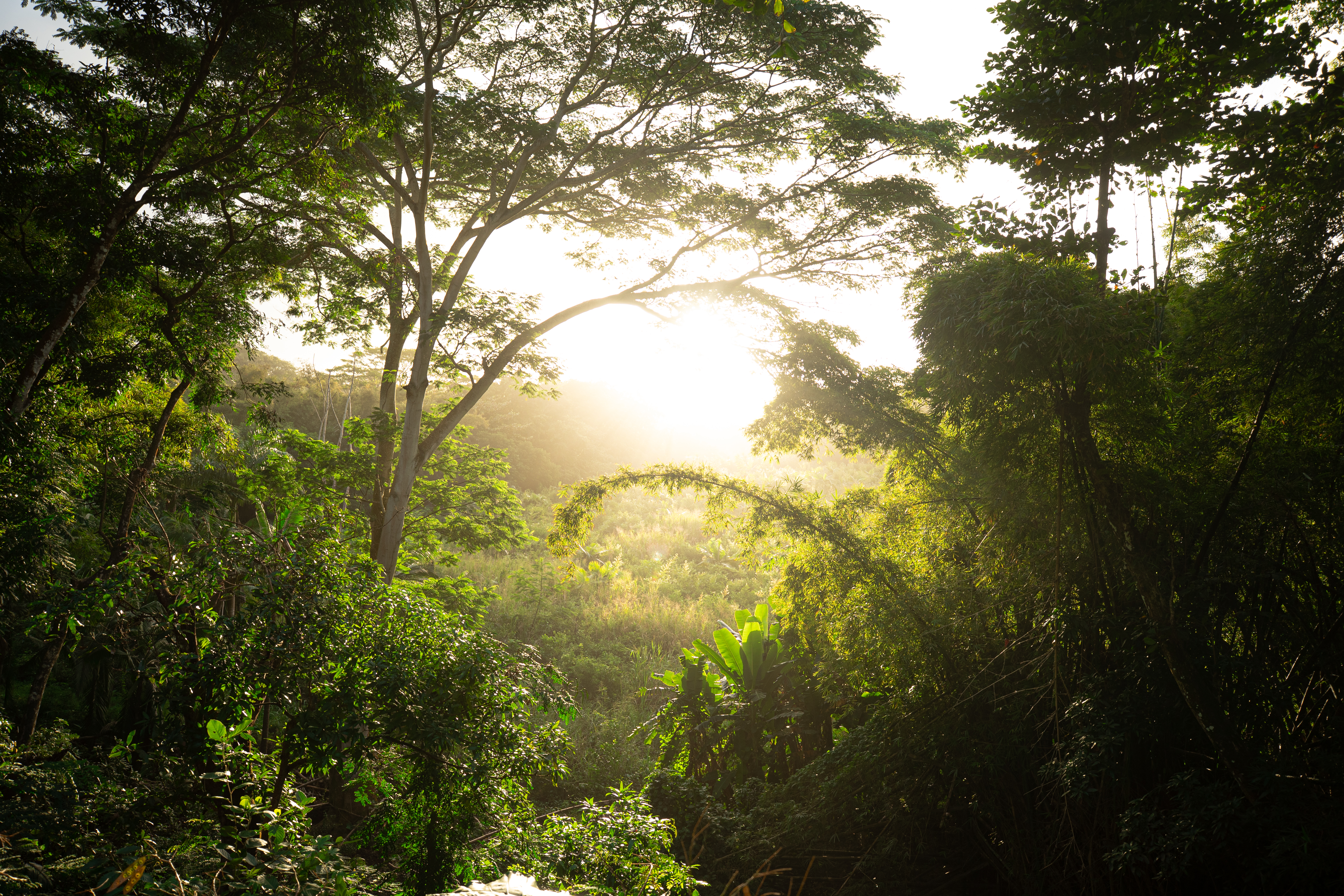 Mountains_legacy_JM_IleMaurice-40